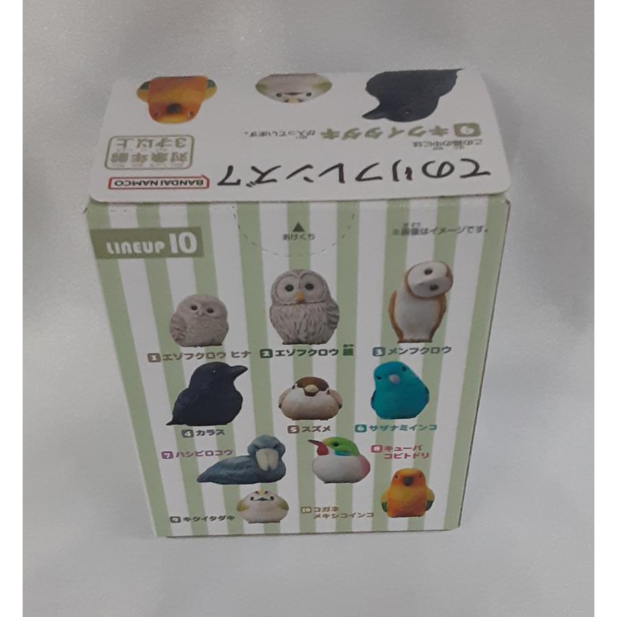 キクイタダキ 9 てのりフレンズ7 未開封 |  | 01