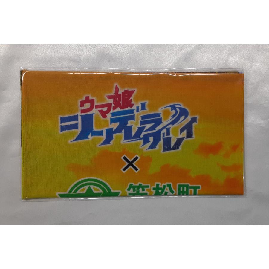 ウマ娘 笠松町 シンデレラグレイ 手ぬぐい コラボ第2弾 グッズ 未開封 | 