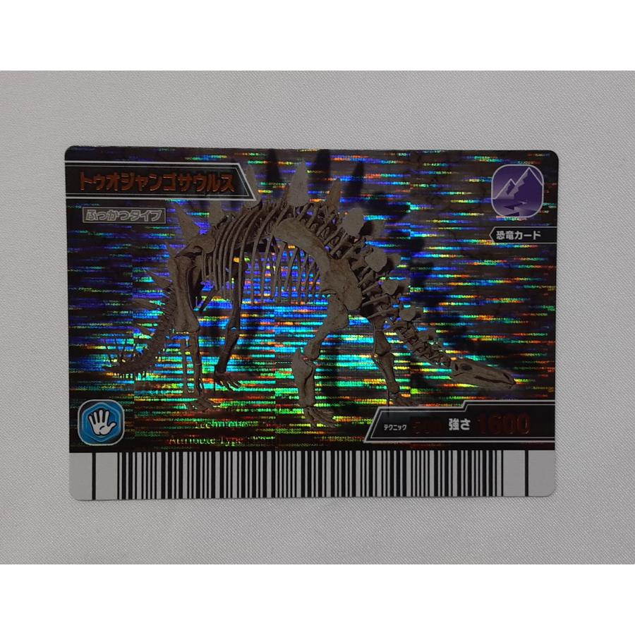 トゥオジャンゴサウルス 化石 KS017-竜 恐竜キング | 