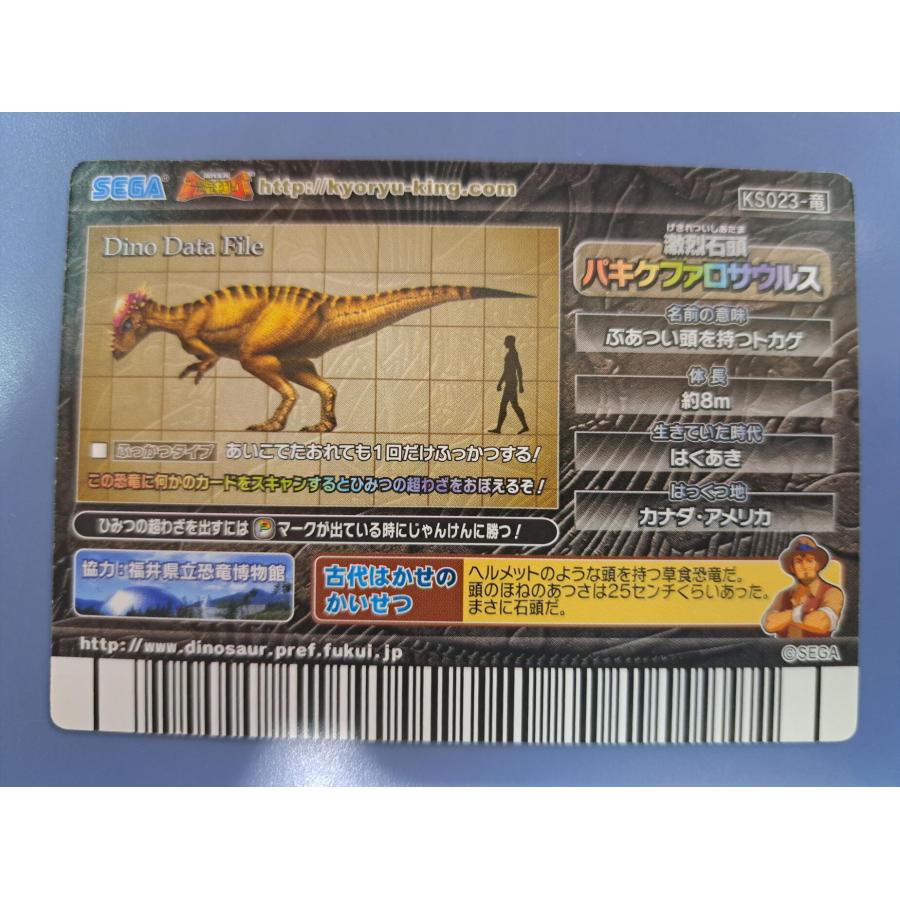 パキケファロサウルス 化石 KS023-竜 恐竜キング : B-button - 通販