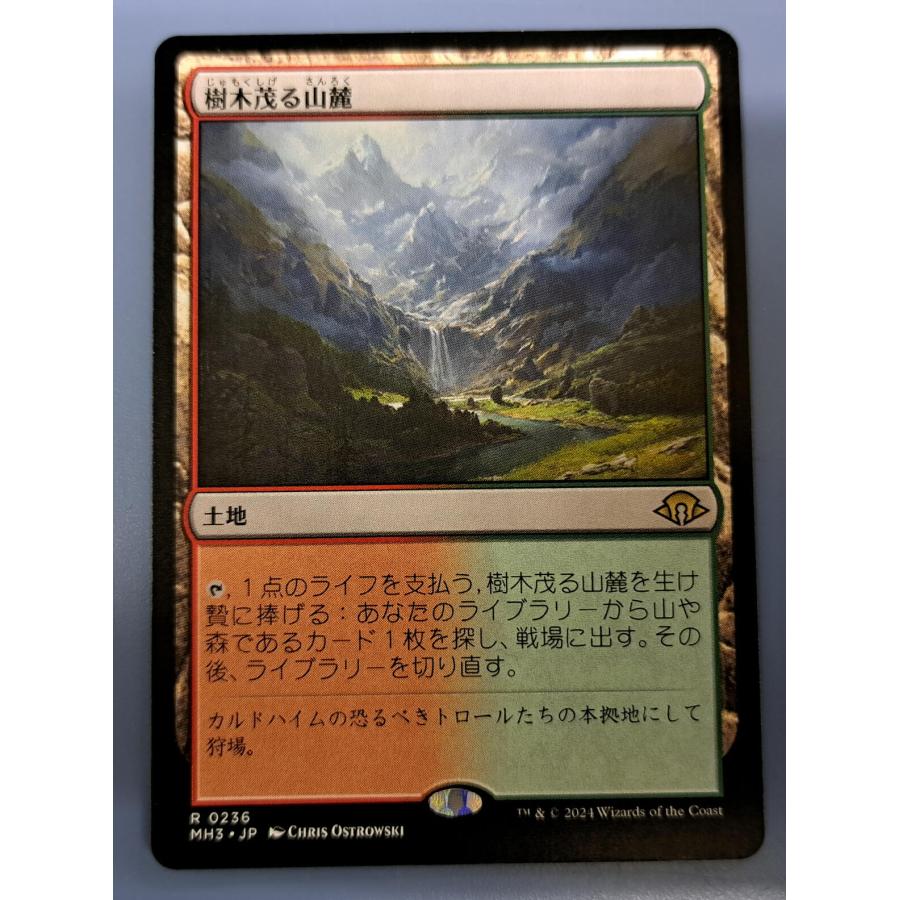 MTG 樹木茂る山麓 日本語 | 