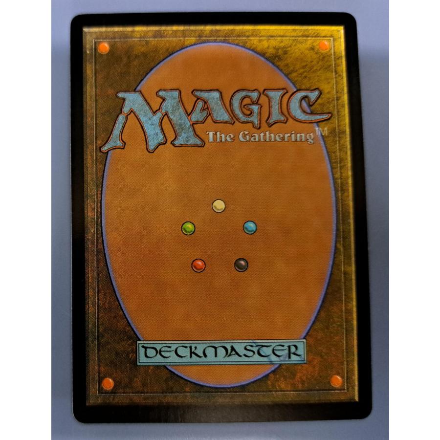 MTG 樹木茂る山麓 日本語 |  | 01