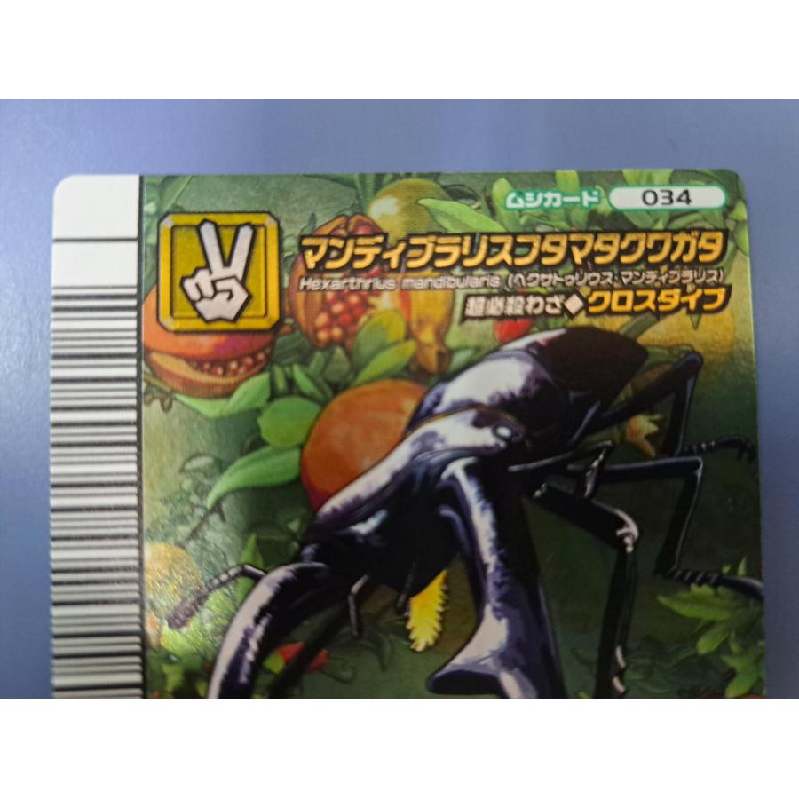 マンディブラリスフタマタクワガタ 5周年コレクションカード第2弾 034 |  | 01