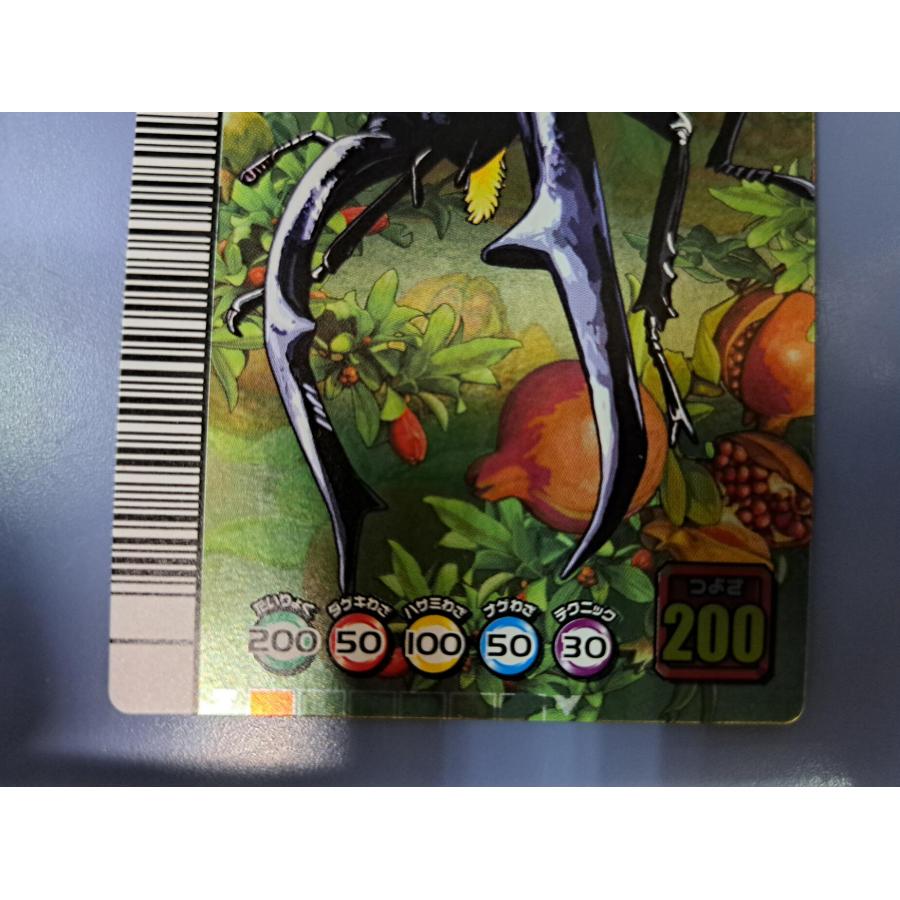 マンディブラリスフタマタクワガタ 5周年コレクションカード第2弾 034 |  | 02