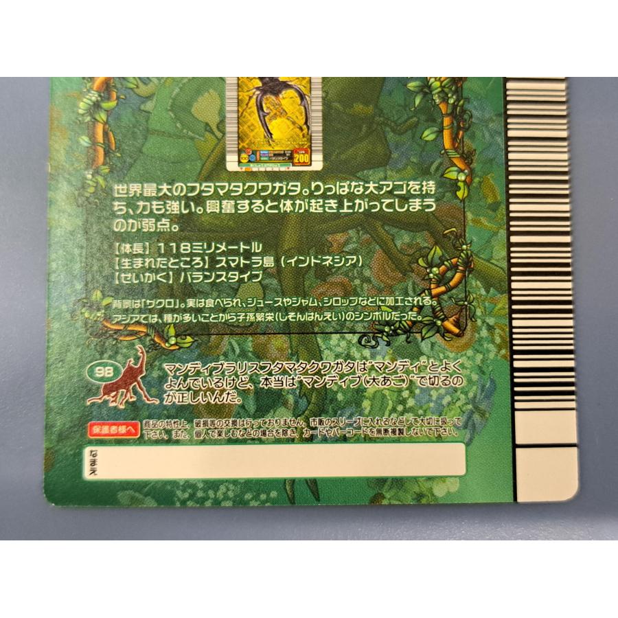 マンディブラリスフタマタクワガタ 5周年コレクションカード第2弾 034 |  | 05