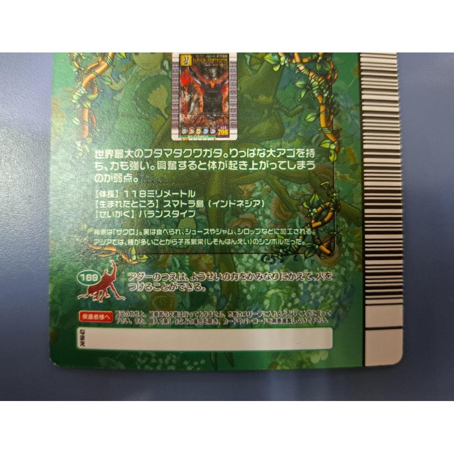 マンディブラリスフタマタクワガタ 5周年コレクションカード第2弾 034-A |  | 05