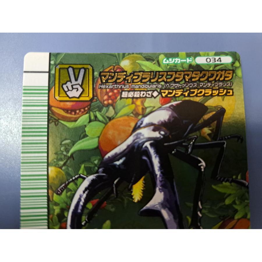 マンディブラリスフタマタクワガタ 5周年コレクションカード第2弾 034 緑バーコード |  | 01