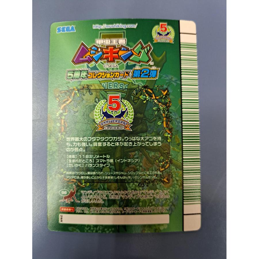 マンディブラリスフタマタクワガタ 5周年コレクションカード第2弾 034 緑バーコード |  | 03