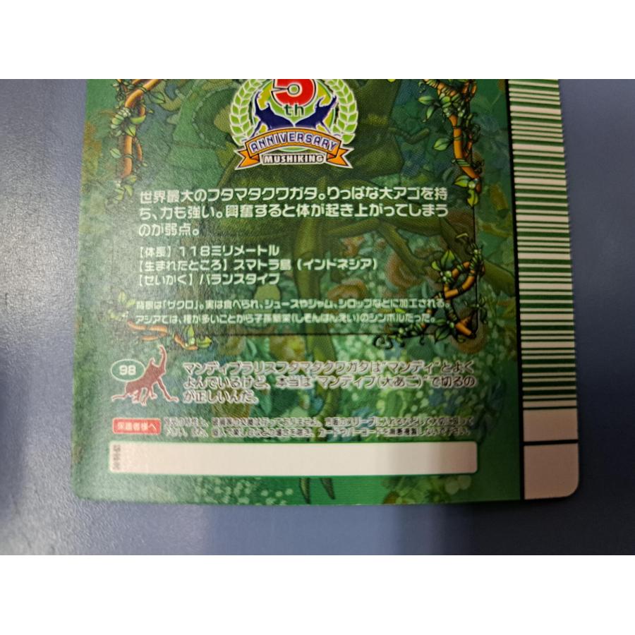 マンディブラリスフタマタクワガタ 5周年コレクションカード第2弾 034 緑バーコード |  | 05