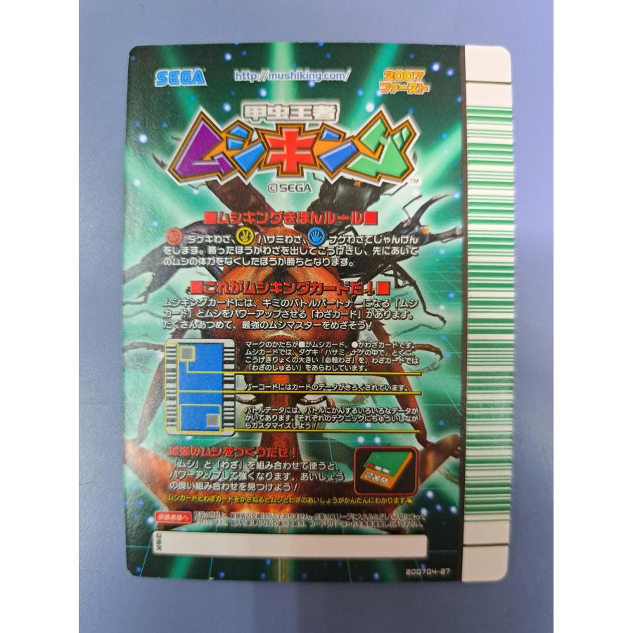 タランドゥスツヤクワガタ 2007ファースト 029 ムシキング |  | 01