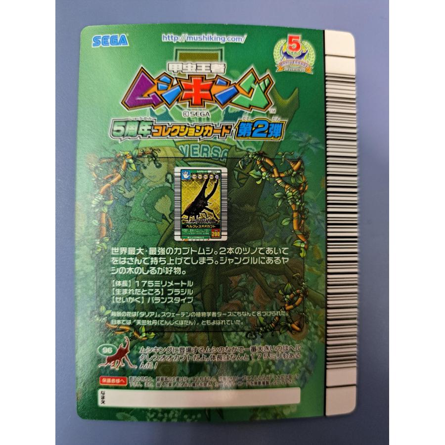 ヘルクレスオオカブト 5周年コレクションカード第2弾 002 |  | 01