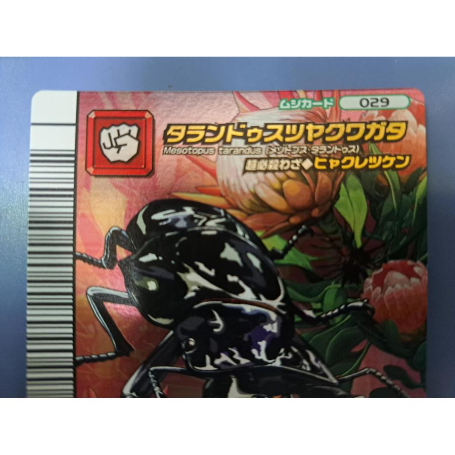 ムシキング 5周年コレクション タランドゥスツヤクワガタ ヒャクレツケン 希少 2005年F タランドゥスツヤクワガタ ムシキング ヒャクレツケン版