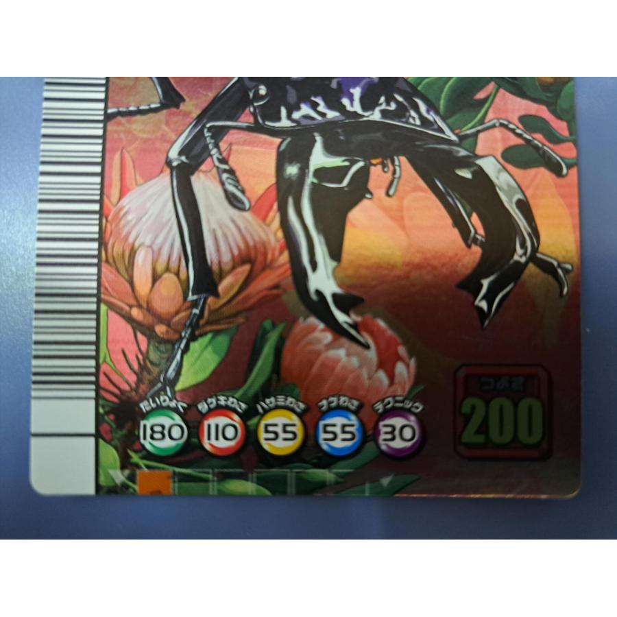 ムシキング　タランドゥス　5周年 ムシキング タランドゥスツヤクワガタ ムシキング 5周年 タランドゥス