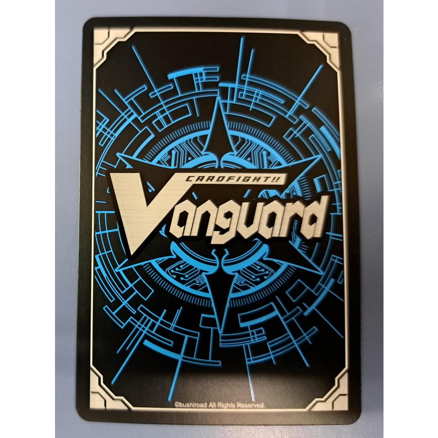 バーニングフレイル・ドラゴン SIR D-SS11/SIR19 ヴァンガード |  | 01