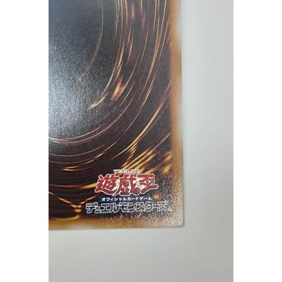 ドラゴンメイド・ハスキー イラスト違い 25th クォーターセンチュリー