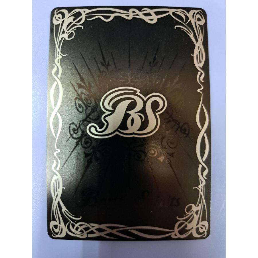 光龍騎神サジット・アポロドラゴン[ホロ／第13弾] |  | 01