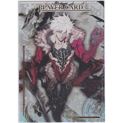 SPプレイヤーカード[ニド] | 