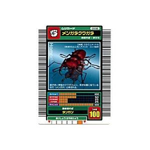メンガタクワガタ[ノーマル／03春・ロングバーコード] | 