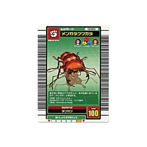 メンガタクワガタ[ノーマル／03夏] | 