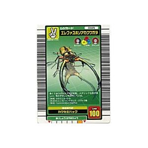 エレファスホソアカクワガタ[ノーマル／03夏]※枠面に微キズ | 