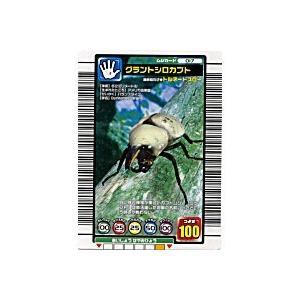 グラントシロカブト[ノーマル／04S・Sプラス] | 