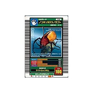 ノコギリタテヅノカブト[ノーマル／03春] | 