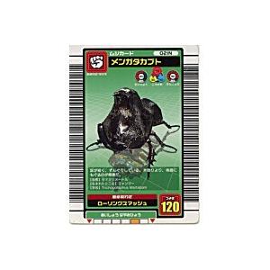 メンガタカブト[ノーマル／03夏] | 