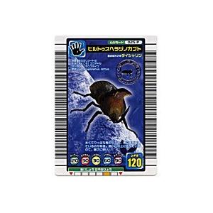 ヒルトゥスヘラヅノカブト[パラレル／04S] | 