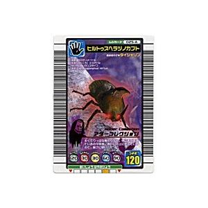 ヒルトゥスヘラヅノカブト[アダー／04Sプラス] | 