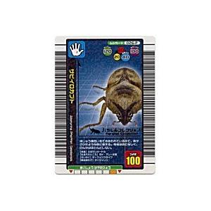 サビイロカブト[パラレル／04夏] | 