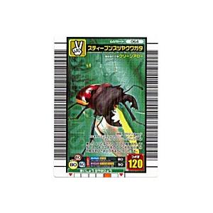 スティーブンスツヤクワガタ[ノーマル／06S新登場] | 