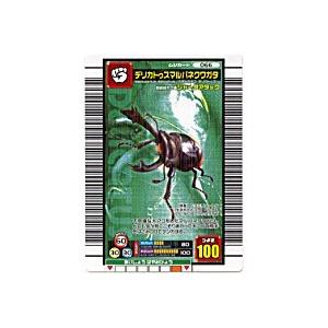 デリカトゥスマルバネクワガタ[ノーマル／06S新登場] | 