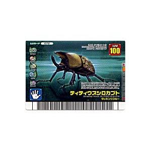 ティティウスシロカブト[ノーマル／FG新登場] | 