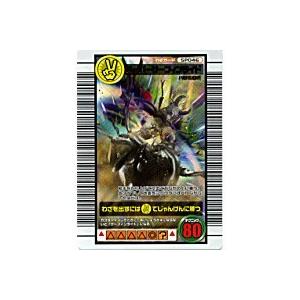 スーパーサーフィンライド[SPわざ／06F] | 