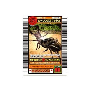 ローリングスマッシュ[わざ／03夏] | 