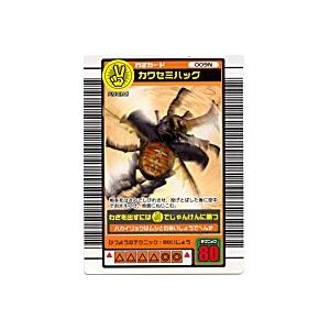 カワセミハッグ[わざ／03夏] | 