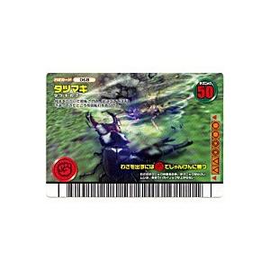 タツマキ[わざ／FG新登場] | 