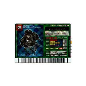 メンガタカブト[フィギュア限定／021-TOY] | 