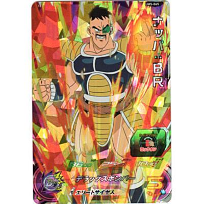 ナッパ[SR／UM5-065] | 