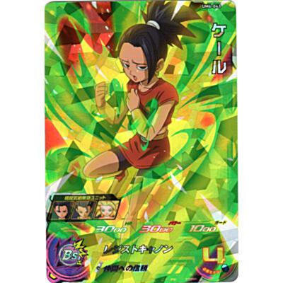 ケール[SR／UM6-043] | 