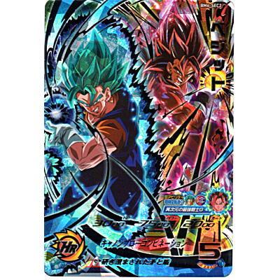 ベジット[SEC／BM6-SEC2] | 