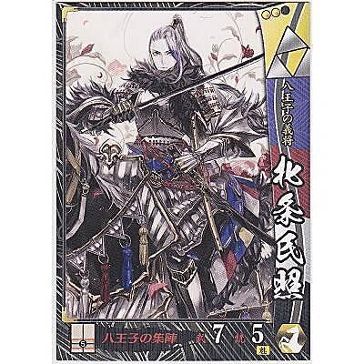 北条氏照[R／Ver.2.1／北条] | 