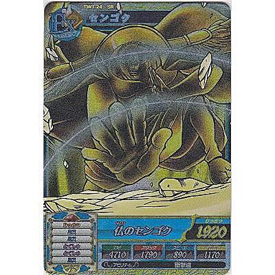 センゴク[SR／TW第1弾] | 