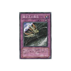 闇次元の解放[ノーマルレア／PTDN] | 