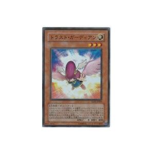トラストガーディアン[スーパー／TSHD] | 
