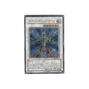 スプレンディッドローズ[レリーフ／TSHD] | 