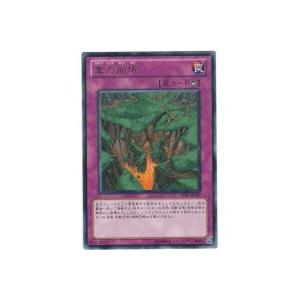 重力崩壊[レア／STBL] | 