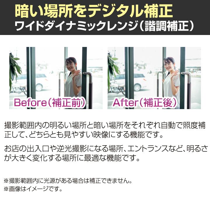 hiroセンサー自動撮影 防犯録画カメラ400shot感知式 防犯・監視用 d409791ed5e0567c33381918dfef46