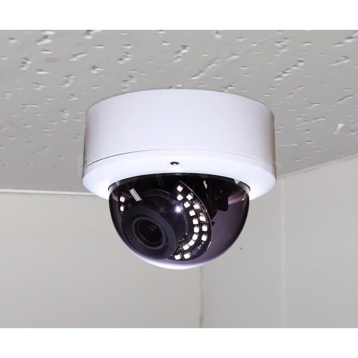 ドーム型防犯カメラ AXC-D1231RN-ZA | 屋外設置対応200万画素マイク内蔵ドーム型カメラ