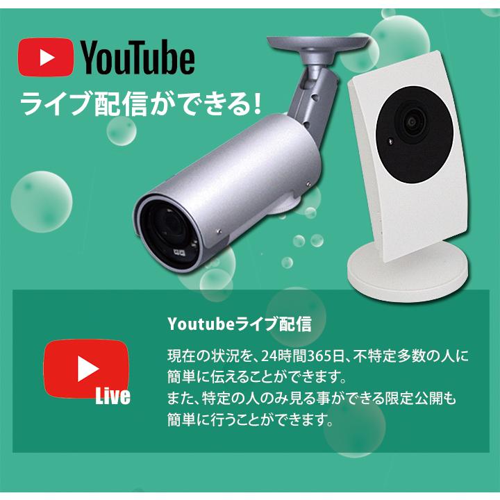 ネットワークカメラ IP WEB WIFIカメラ ペット ベビーモニター ネットワークカメラ IPカメラ 見守りカメラ ベビーモニター ペット